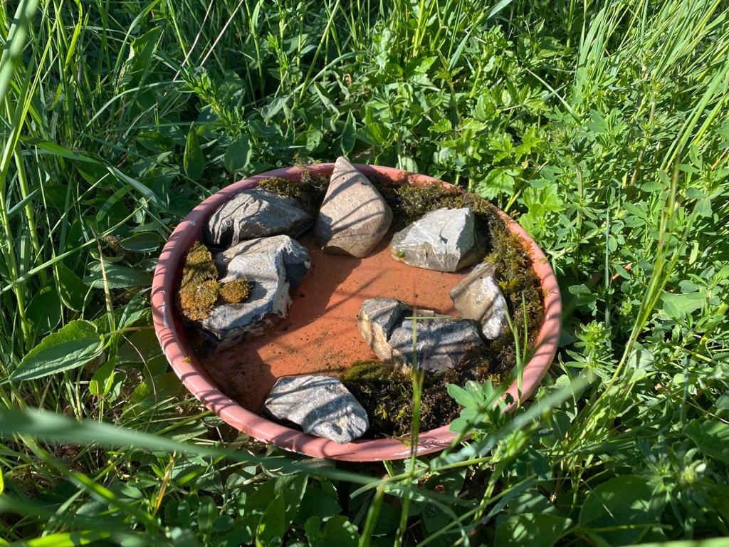 Eine DIY-Bienentränke für den Garten