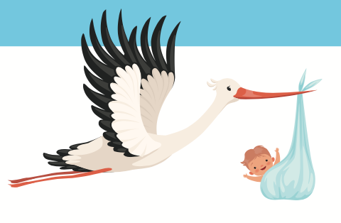 Der Penis als Rakete