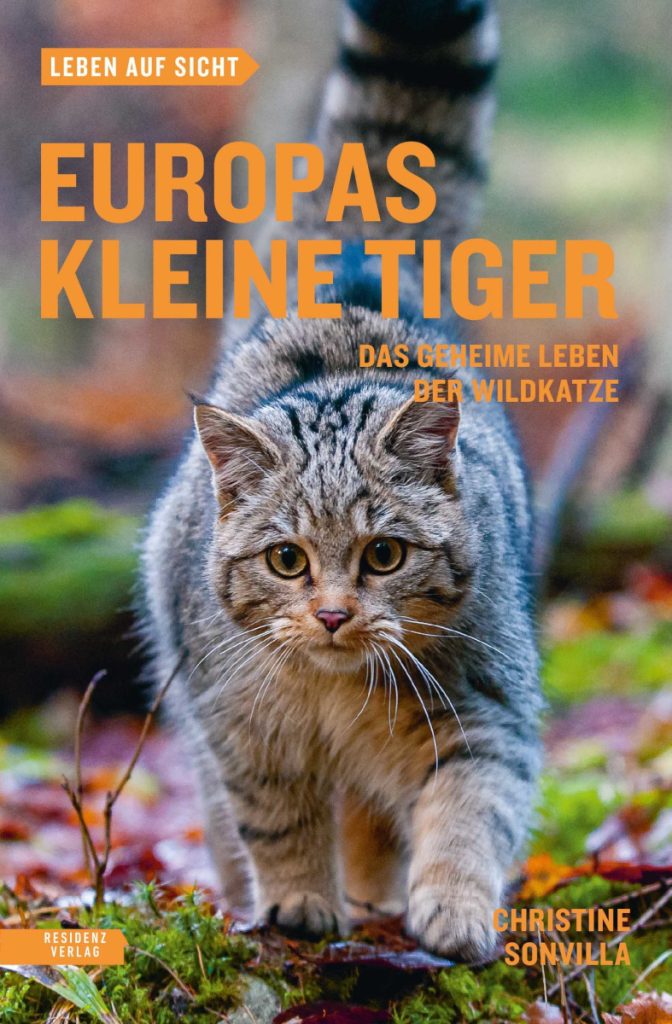 „Europas kleine Tiger“ – Buchvorstellung
