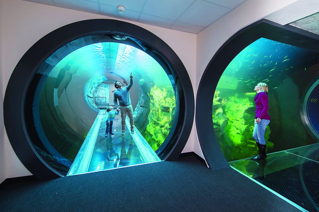 Haus des Meeres – feiern, staunen, eintauchen