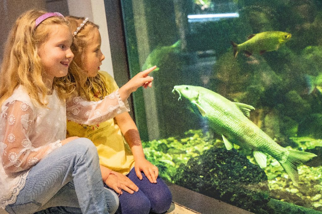 Natur erleben und Klima retten