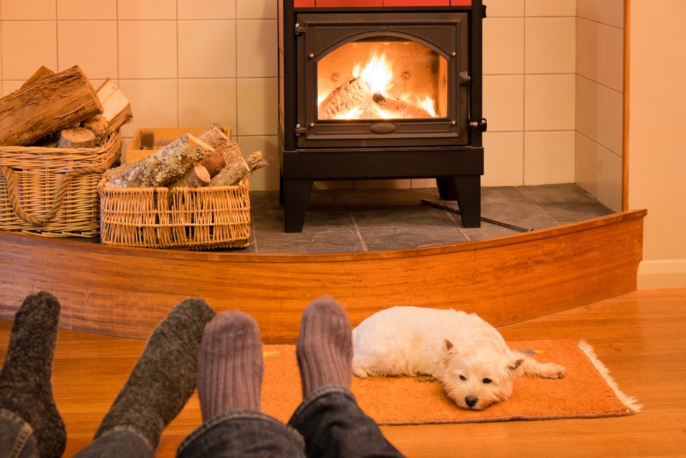 Energiespartag 2019: Diese Tipps reduzieren Heizkosten nachhaltig
