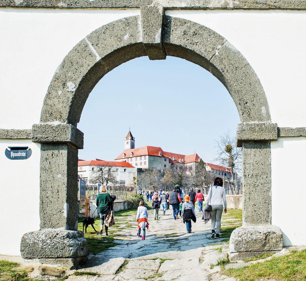 Frühlingserwachen auf der Riegersburg