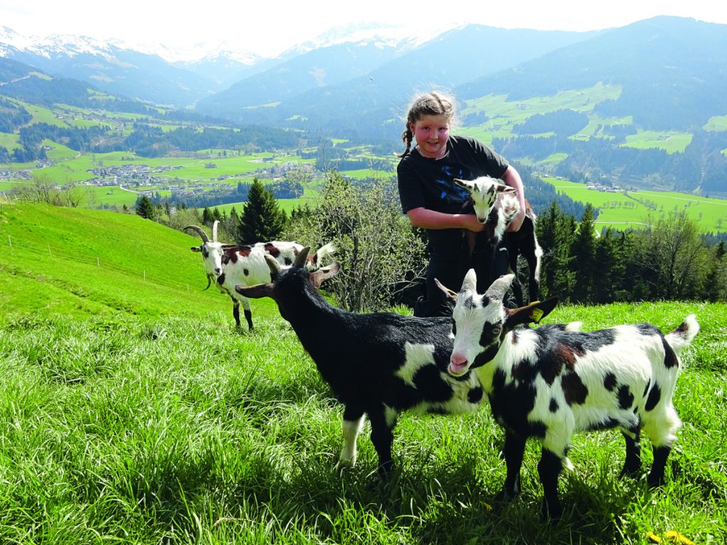 Eine Woche in der Alpenschule