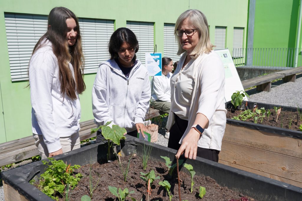 Schlaubeet für clevere Gärtner