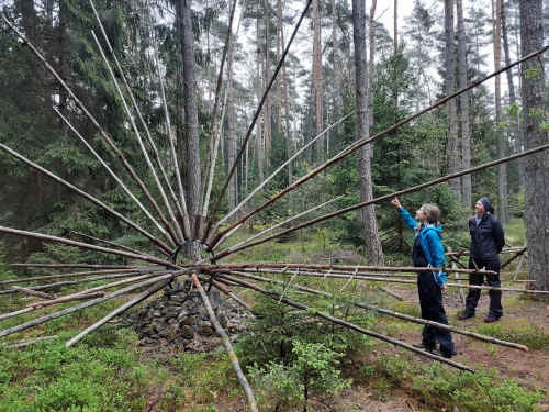 Ein Virus am Wegesrand