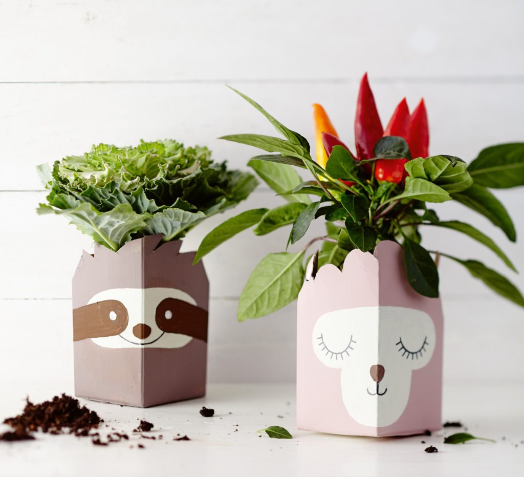 DIY: Coole Blumentöpfe aus alten Getränkekartons