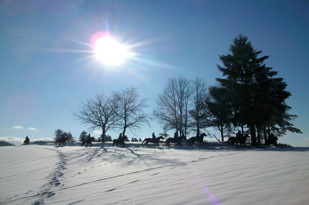 Ferien im Schnee: Teil 1