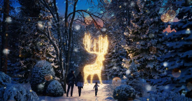 Innsbruck bekommt einen magischen Lichter-Park
