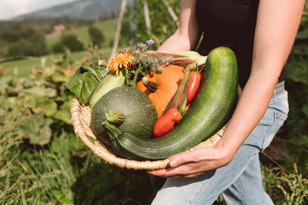 Bio hat immer Saison