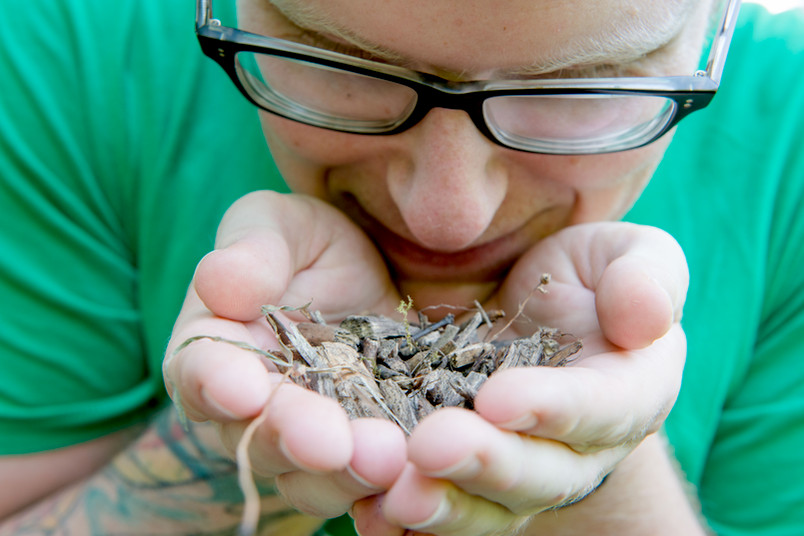 Emotionen anderer beeinflussen den Geruchssinn