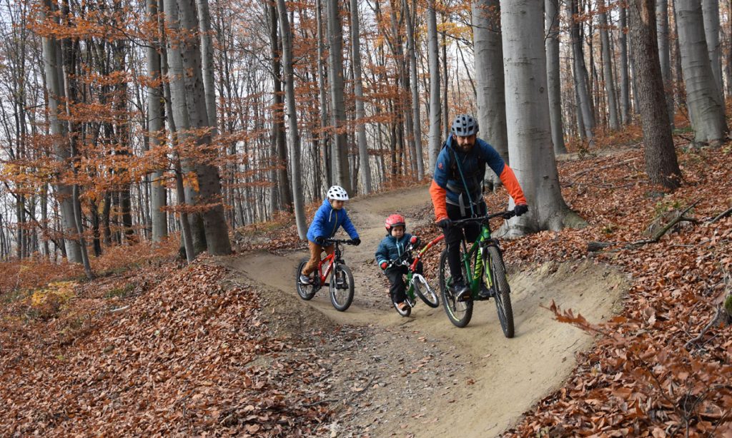 Trail4You – familienfreundliche Mountainbikestrecke