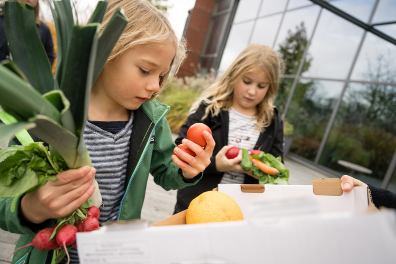 Fit im Kopf: So gelingt die Bio-Schuljause zum Schulstart